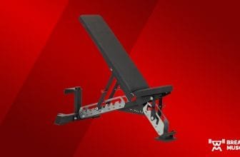 Titan Series Adjustable Bench Review (2025)