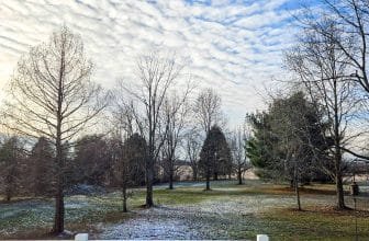 The Little Things Newsletter #447 – Life, laughter, and lots of great food!