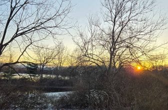 The Little Things Newsletter #448 – Life, laughter, and lots of great food!