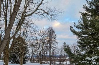 The Little Things Newsletter #450 – Life, laughter, and lots of great food!