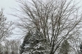 The Little Things Newsletter #451 – Life, laughter, and lots of great food!