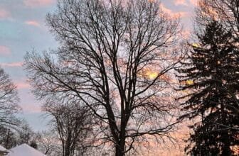 The Little Things Newsletter #452 – Life, laughter, and lots of great food!