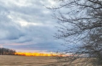 The Little Things Newsletter #454 – Life, laughter, and lots of great food!