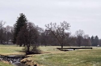 The Little Things Newsletter #456 – Life, laughter, and lots of great food!