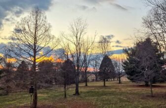 The Little Things Newsletter #458 – Life, laughter, and lots of great food!