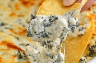 12 Finest Social gathering Appetizer Dips